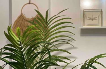 Apartamento El Picu - Foto 8