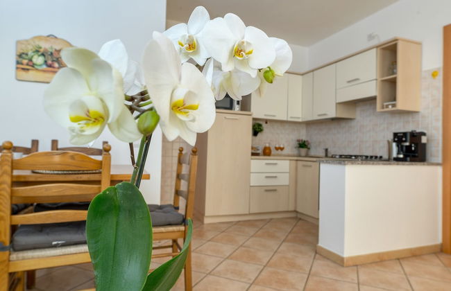 IzzHome Everyway - Foto 17