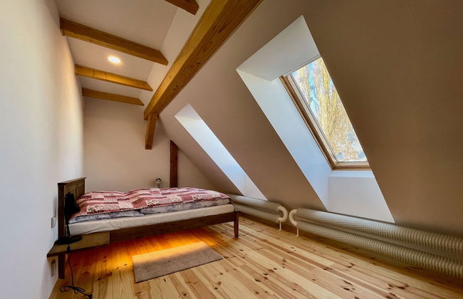 V Chov nad Jizerou Lvv033 - Photo 29