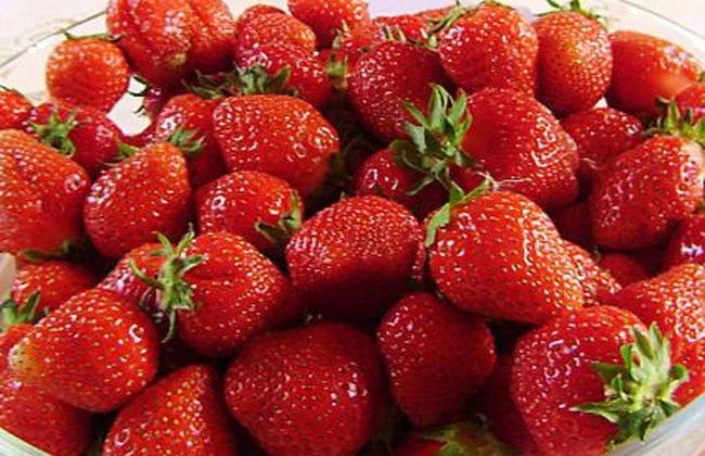 2 bedroom House in Sonkajärvi with sauna - Photo 14