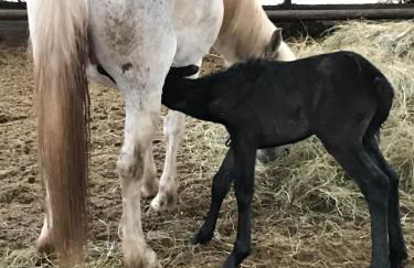 Gîtes Belle Vue - Photo 38