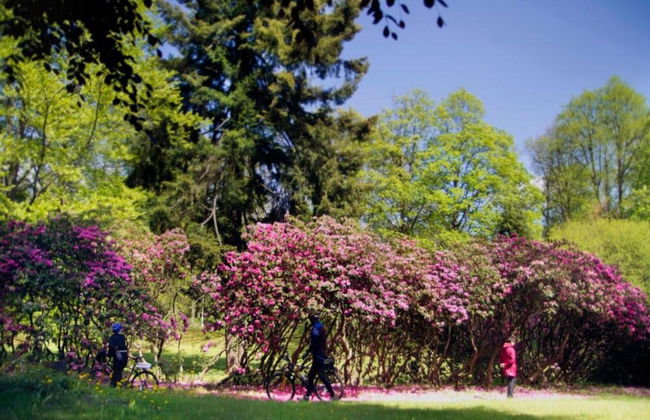 Country House in Czech Forest With Pool - Foto 40
