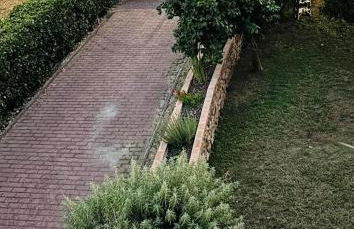 Casa Magnolia - Foto 15