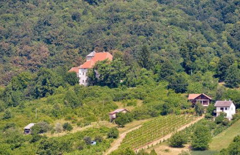 Cozy Home In Slavetic With Kitchen - Foto 24