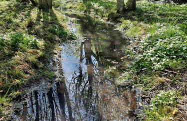Moulin de Janlard - Foto 19