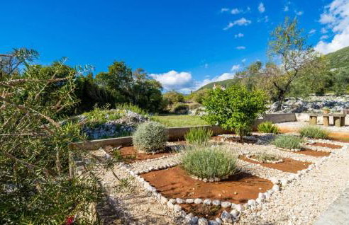 Apartman Ana Marija - Foto 43