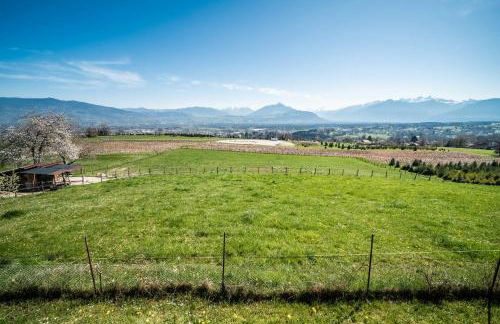 Les Hortensias - Foto 21