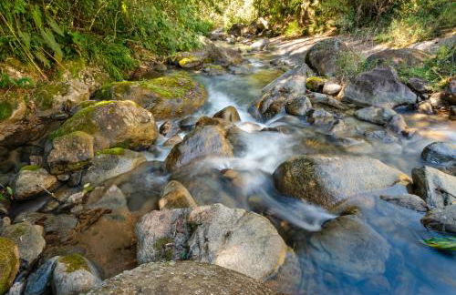 Chalé Flores e Amores - Photo 68