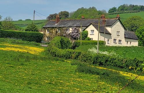 Beautiful Devon Farmhouse - Foto 2