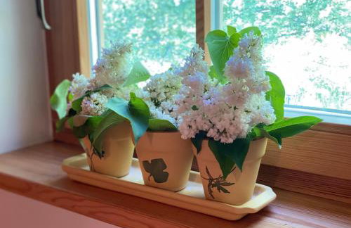 Koronkowa Chata - Foto 34