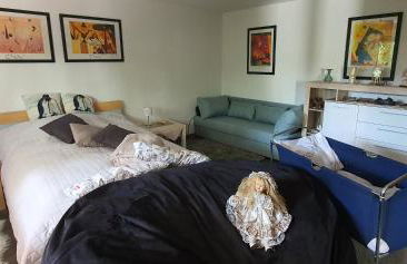 Ferienwohnung 3,2 km von Saarloius entfernt mit Terrasse und Garten - Foto 18