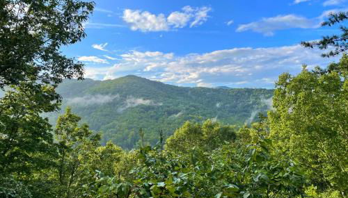 Candyland Cabin by Carolina Mornings - Foto 2