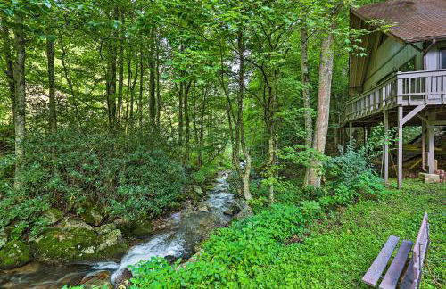 Outdoor Explorers! Roan Mtn Haven with On-Site Creek - Foto 34