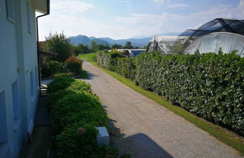 Boscaglie sweet home - Foto 13