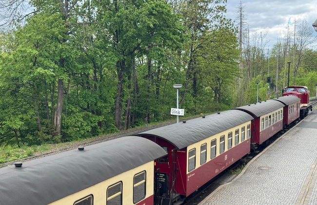 Apartment in Harz Near Brocken Railway - Foto 32