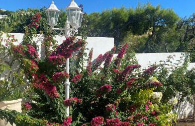 Villa Esmeralda - Foto 24