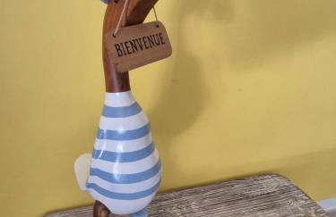 Maison Andernos Les Bains - Spa Jacuzzi et Piscine - Foto 19