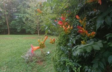 Kuća za odmor EDEN - Foto 20