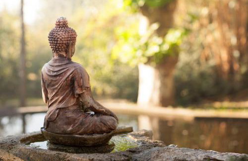 Casa da Eira "Lavoura da Bouça - Fruta Bio" - Foto 20