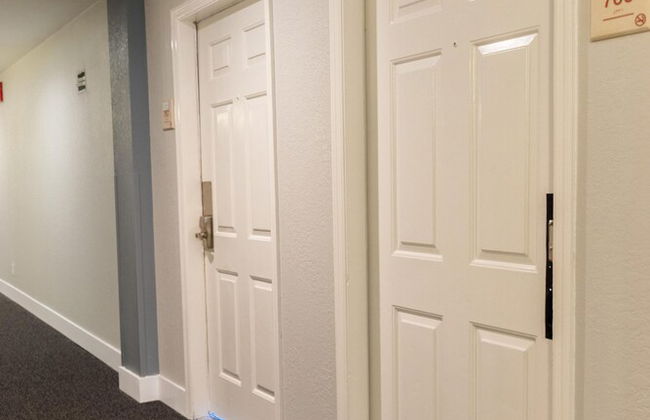 Palm Studio by Orlando Short Term - Foto 16