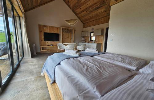 Stodoły w Bieszczadzie domy z basenem i widokiem na góry - Photo 46