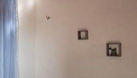 Terra da Luz - Casa de praia CE - Foto 3