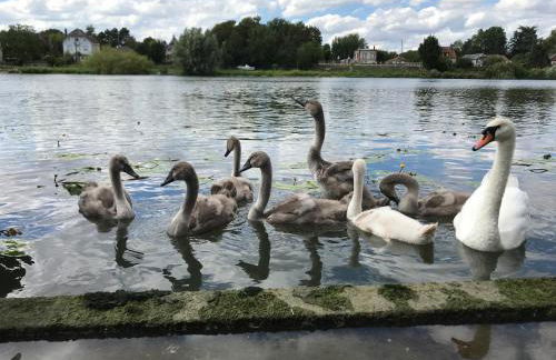 La maison des pêcheurs - Foto 37