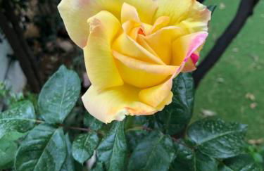 Angel House - Foto 52