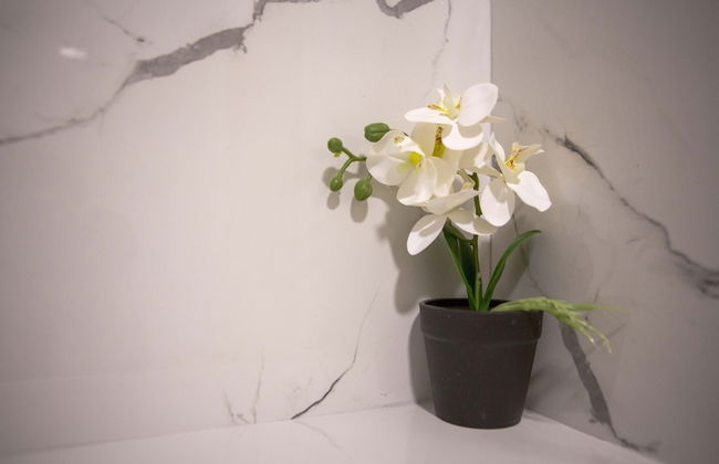 Apart Hotel Gondola Kolasin - Photo 72