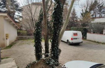 L éphémère escale - Foto 15