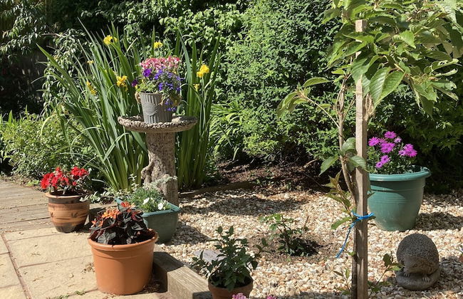 Unique Quirky Studio in Spreyton - Foto 15