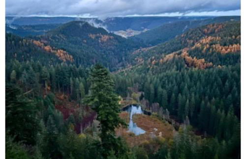 Traumblick FeWo mit Pool - Foto 20