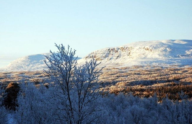 Fjällfrid Stugor - Photo 52