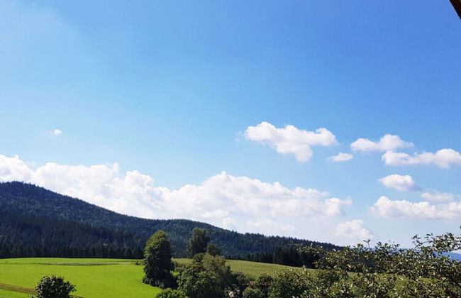 Haus Leutner Bodenmais - Photo 12