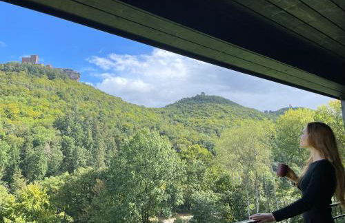 Bergchalet auf Stelzen - Foto 3