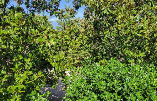 Villa Marianna - Foto 15