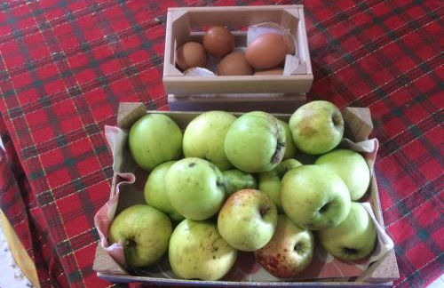 la masseria di Antonio e Teresina - Foto 53