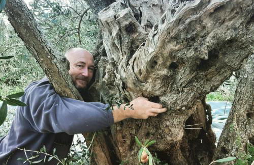 Agriturismo Il Gelso - Foto 39