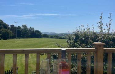 The Snug, Mayobridge - Foto 2