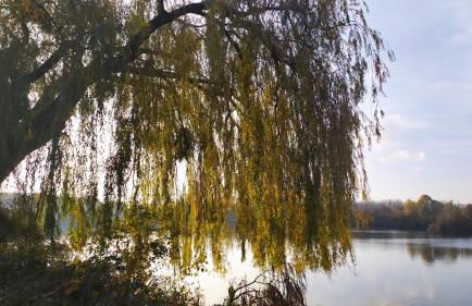 APPART HOTEL Résidence Carouge - Foto 39