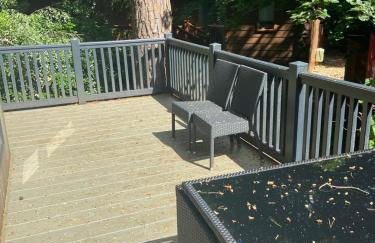 Sandy Balls Holiday Park Pet Friendly Lodge - Photo 19