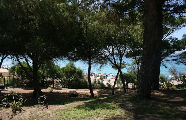 Villa Luisa - Photo 64