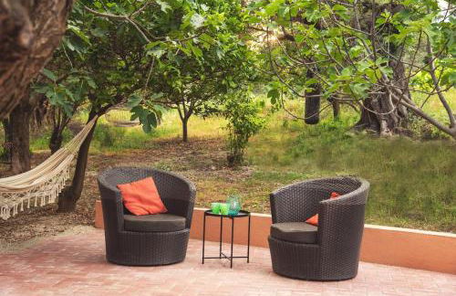 Timpa Bianca - Foto 39