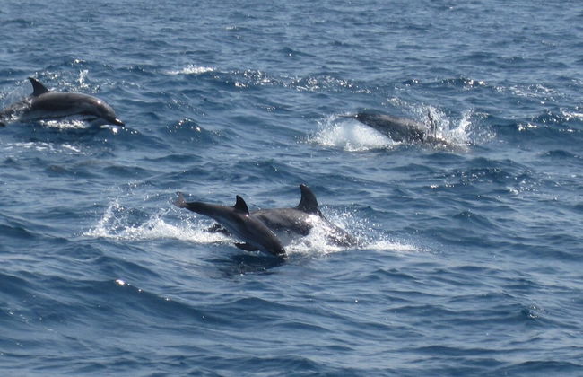 Casa Florinda Tarifa - Photo 67