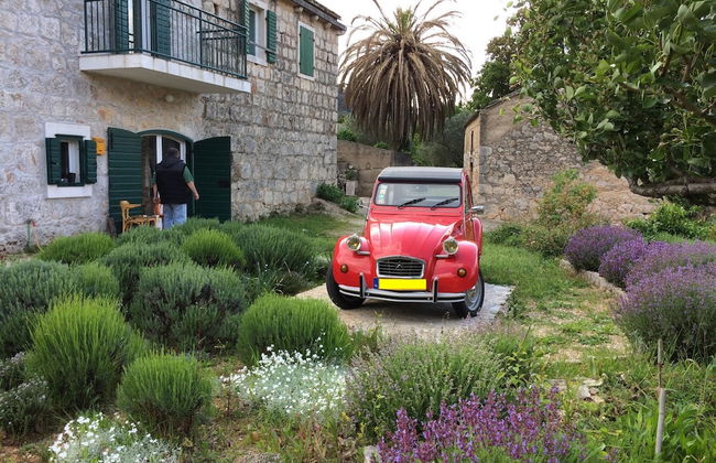 House Pod Humom - Foto 22