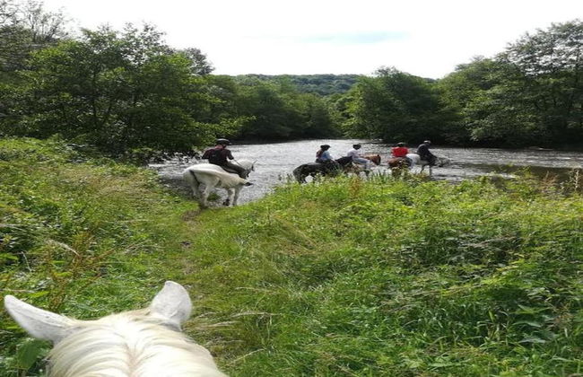 Completely Renovated House near Durbuy - Foto 30