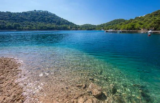 Apartments Bruna Lastovo-comfort One Bedroom Apartment With Balcony and Sea View-plavi - Foto 8