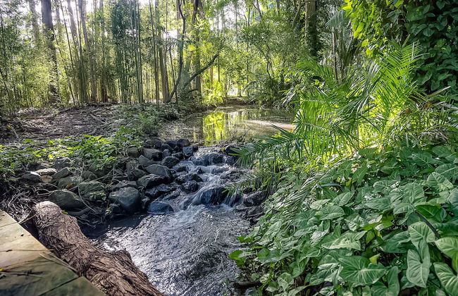 Sanctuary in The Pocket - Photo 68