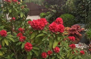 Le Clos Martin - Foto 33