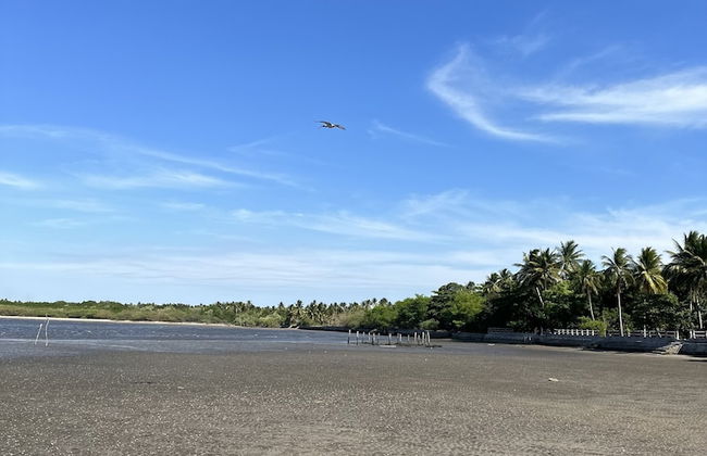 Paradise Bay - Foto 15